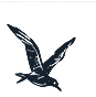 Signet Sturmvogel — Möwe