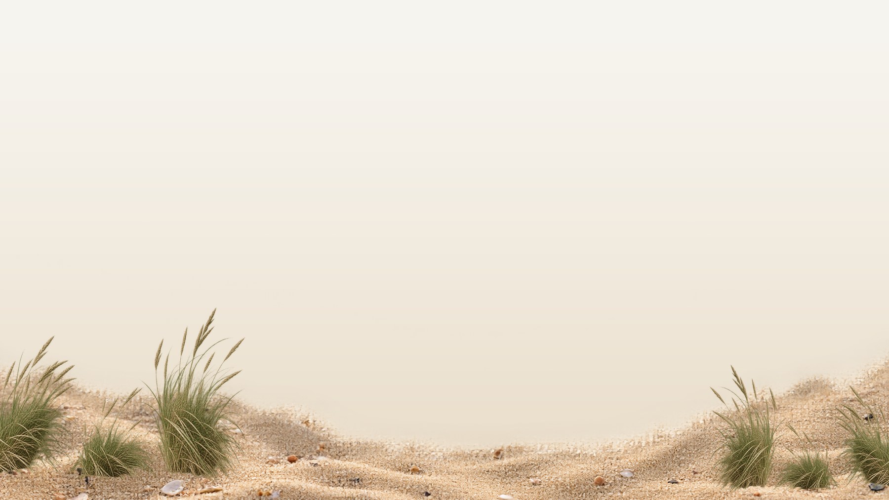 Dünenlandschaft mit Strandhafer an der Nordsee